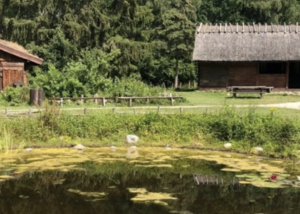 Middelalderlandsbyen